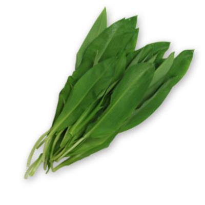 CESNAK MEDVEDÍ 120g