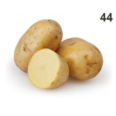 ZEMIAKY KONZUMNÉ NESKORÉ "B"