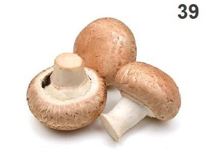 ŠAMPIŇÓNY HNEDÉ /VÁHA/