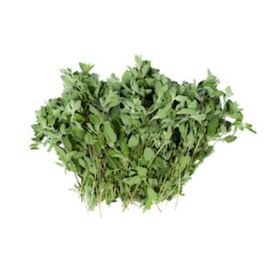 BYLINKY OREGANO V ČREPNÍKU