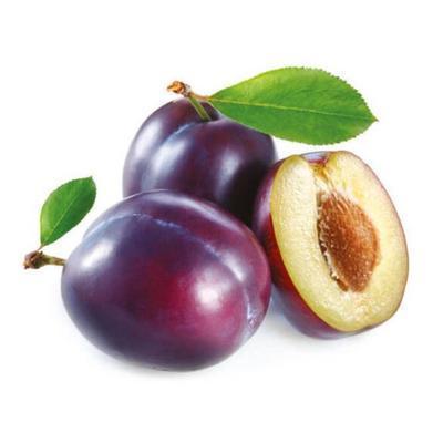 SLIVKY - RINGLOTY MODRÉ