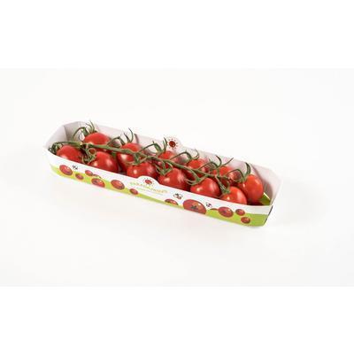 PARADAJKY CHERRY STRAPCOVÉ EXTRA SLADKÉ 200g