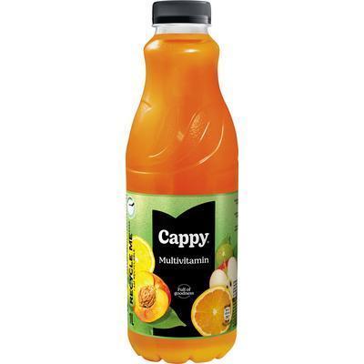 DŽÚS MULTIVITAMÍN 50% 1l CAPPY PET VRATNÝ OBAL