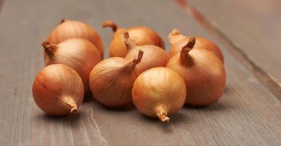 CIBUĽKA ŠALOTKA ŽLTÁ GOLDEN GO URMET 500g