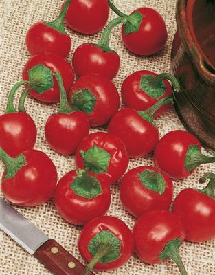 SEMENÁ PAPRIKA ČEREŠŇOVÁ OSTRÁ KORÁL 0,5g