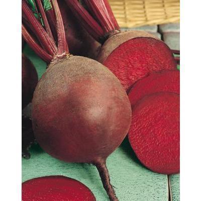 SEMENÁ CVIKLA BONA 3g