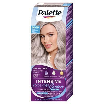 FARBA NA VLASY PALETTE ICC 10-19 CHLADNÝ STRIEBRISTÝ BLOND 50ml