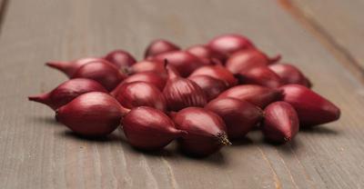 CIBUĽKA SADZAČKA KARMEN 500g