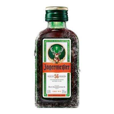 JAGERMEISTER 35% 0.04l
